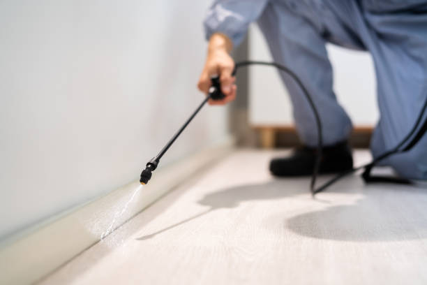 Rodent Entry Point Assessment in Camp Hill