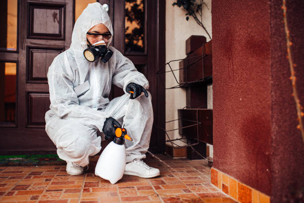 Attic and Crawl Space Rodent Treatment in Camp Hill
