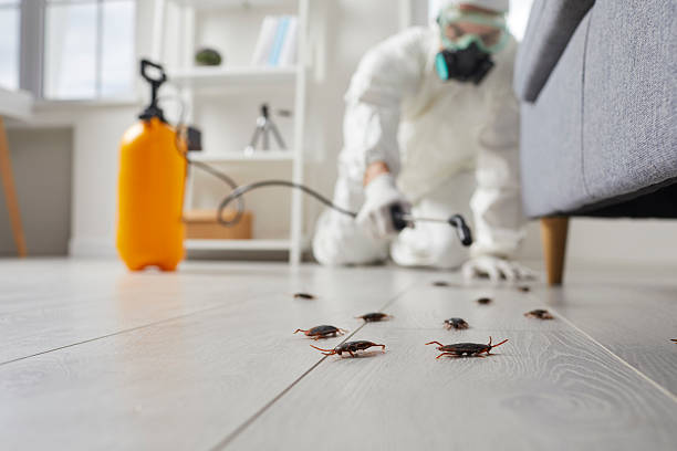 Commercial Rodent Management in Camp Hill